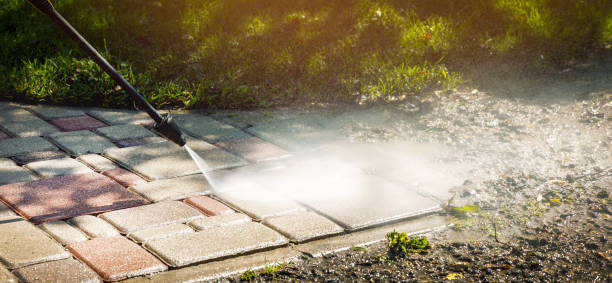Best Animal Enclosure Cleaning  in Hendersonville, NC